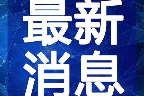 黄衣宝宝最新爆料视频,揭秘幕后真相,带你走进事件核心
